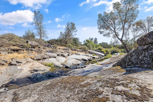 view of nature