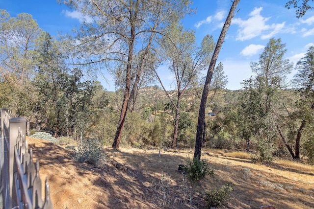 view of yard with a view of trees