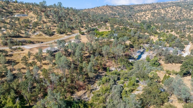 bird's eye view featuring a forest view