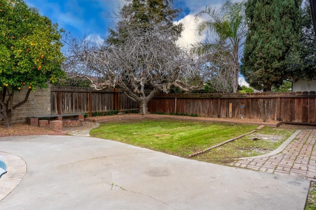 view of yard featuring a fenced backyard and a patio