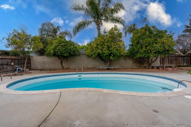 view of swimming pool with a patio area, a fenced backyard, and a fenced in pool