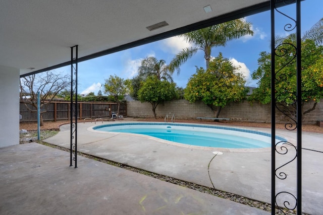 view of swimming pool with a patio, a fenced backyard, and a fenced in pool