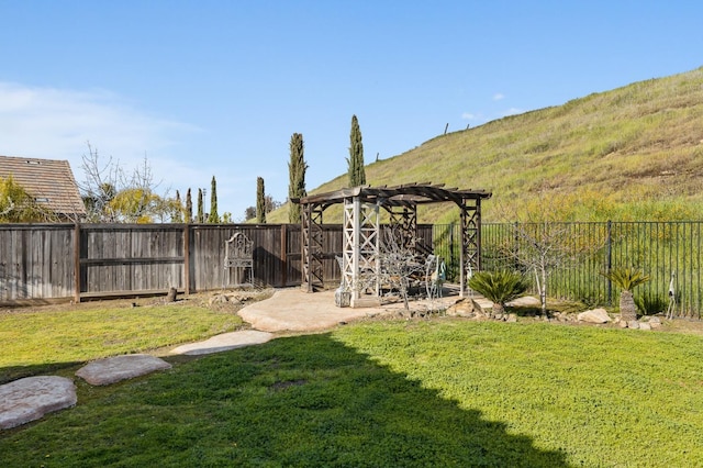 view of yard featuring a patio area, a fenced backyard, and a pergola