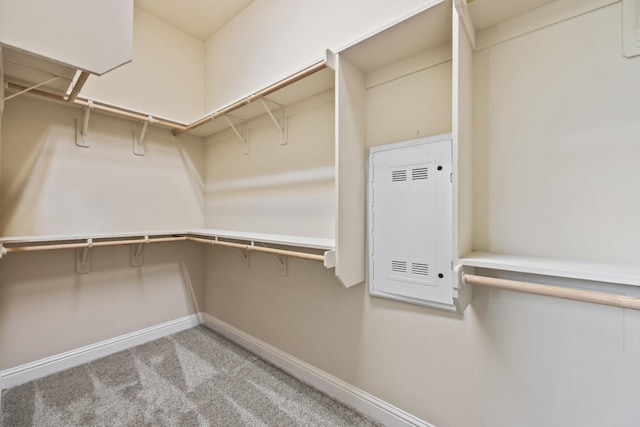 spacious closet with carpet flooring