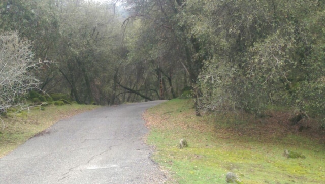 view of road with a wooded view