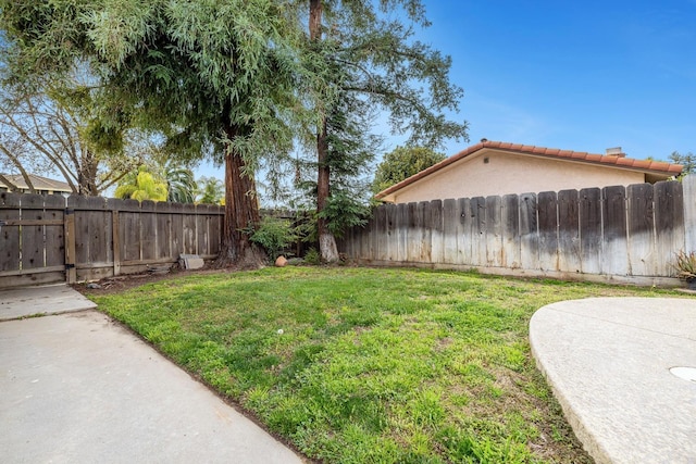 view of yard featuring a patio area and a fenced backyard