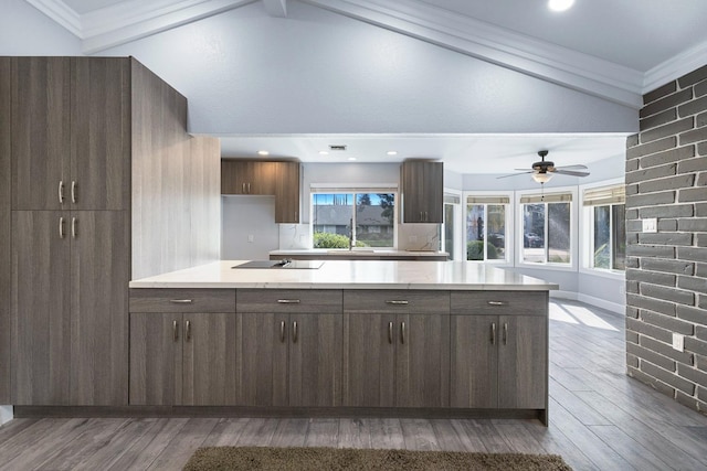 kitchen featuring dark brown cabinets, ornamental molding, vaulted ceiling, and wood finished floors