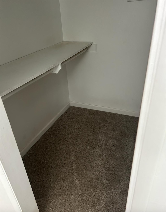 spacious closet with carpet flooring