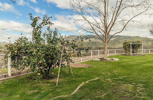 21777 Tollhouse Rd, Clovis, CA 93619 - photo 72