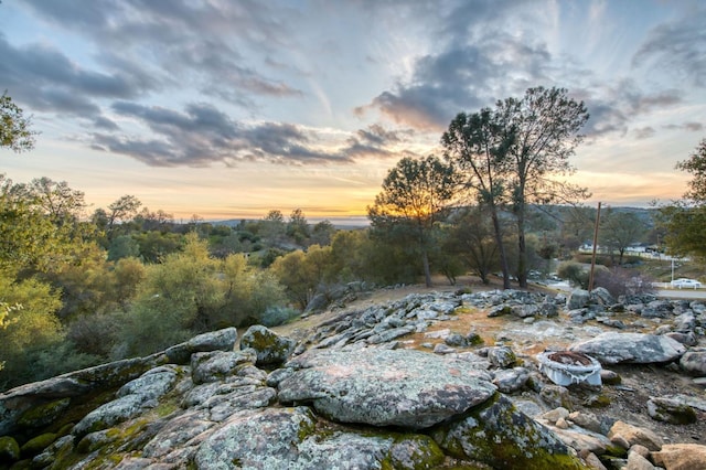 view of nature