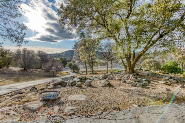 view of yard with a mountain view