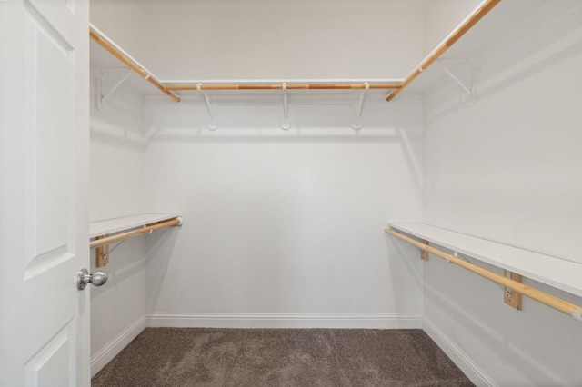 spacious closet with carpet