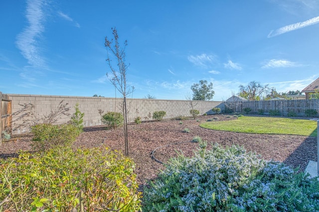 view of yard with a fenced backyard