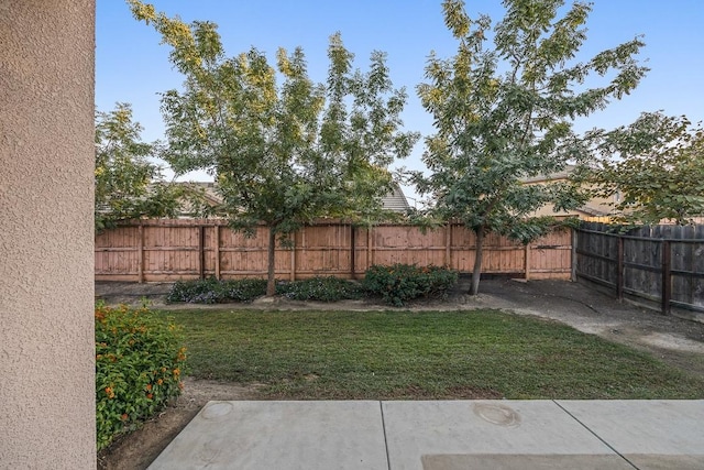 view of yard with fence and a patio