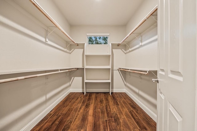 walk in closet with dark wood-style flooring