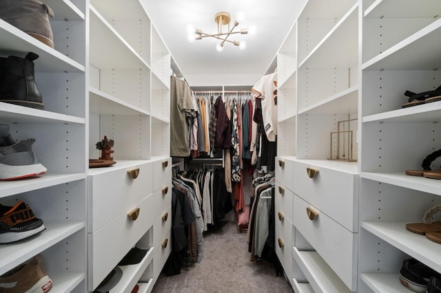 spacious closet featuring carpet flooring and an inviting chandelier