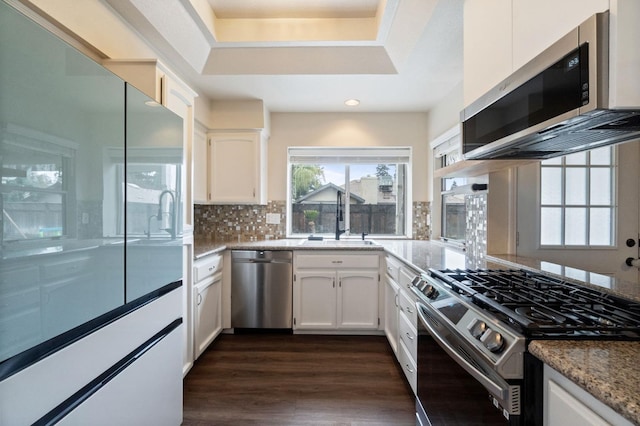 kitchen featuring stainless steel appliances, a sink, white cabinetry, decorative backsplash, and dark wood-style floors