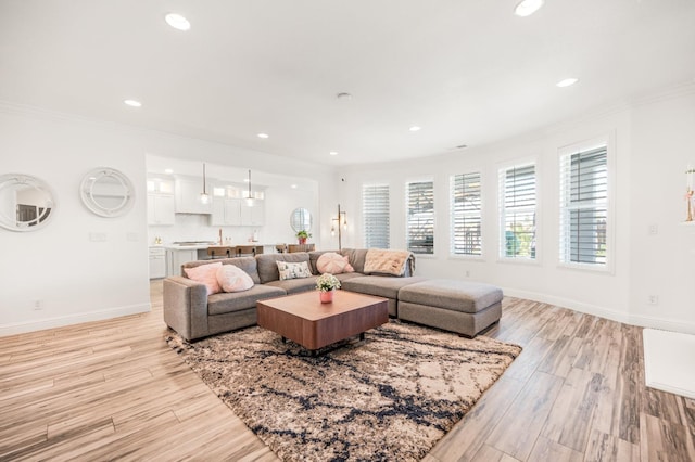 living room with ornamental molding, light wood-type flooring, and baseboards