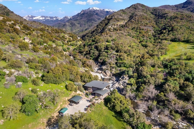 aerial view with a mountain view and a wooded view