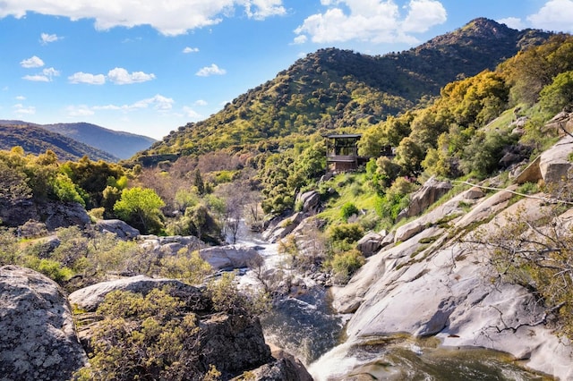 mountain view with a wooded view