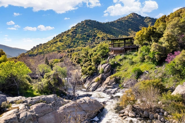 property view of mountains with a forest view