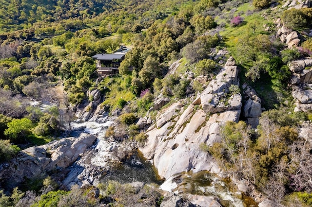 bird's eye view with a view of trees