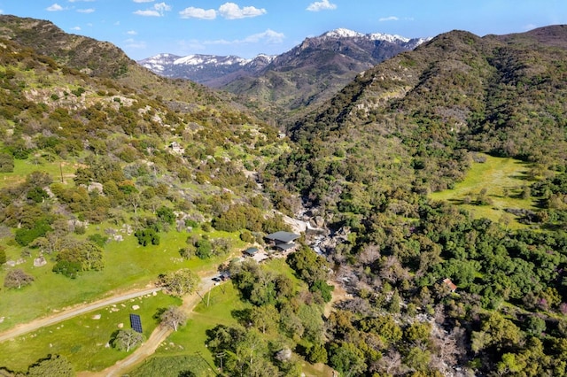 birds eye view of property featuring a mountain view