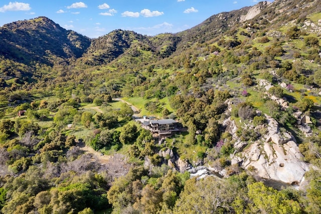 view of mountain feature with a view of trees