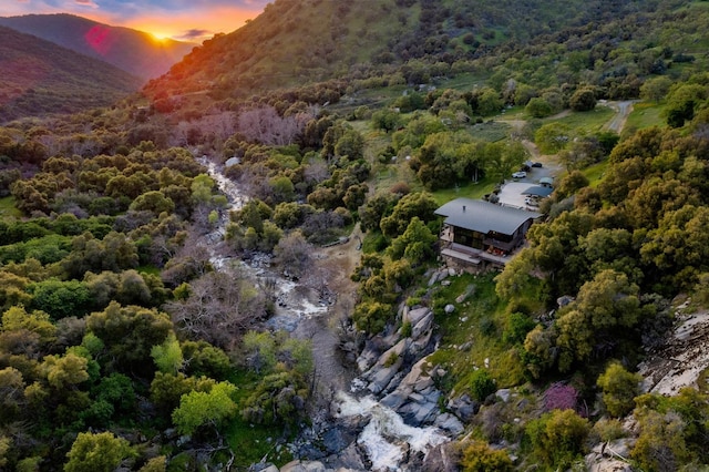 birds eye view of property featuring a forest view and a mountain view