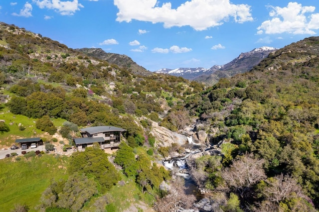 drone / aerial view with a forest view and a mountain view