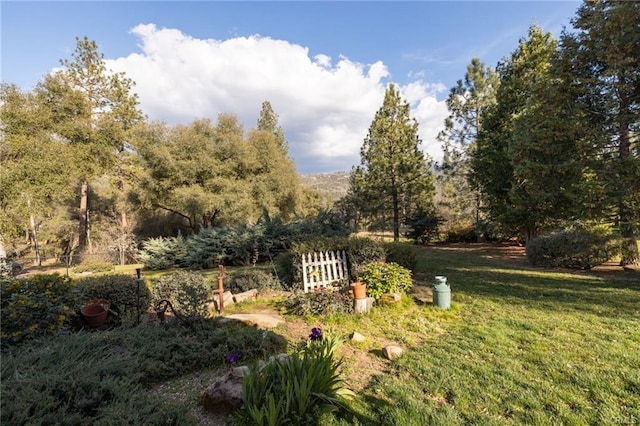 51892 Quail Ridge Rd, Oakhurst, CA 93644 - photo 45