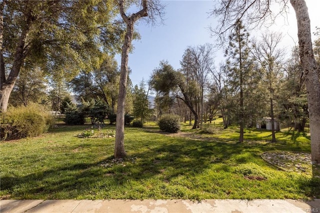 51892 Quail Ridge Rd, Oakhurst, CA 93644 - photo 43