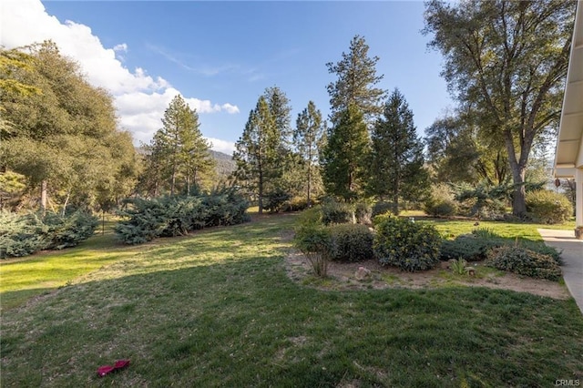51892 Quail Ridge Rd, Oakhurst, CA 93644 - photo 46
