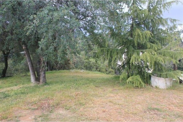 39855 Jose Basin Rd, Auberry, CA 93602 - photo 6