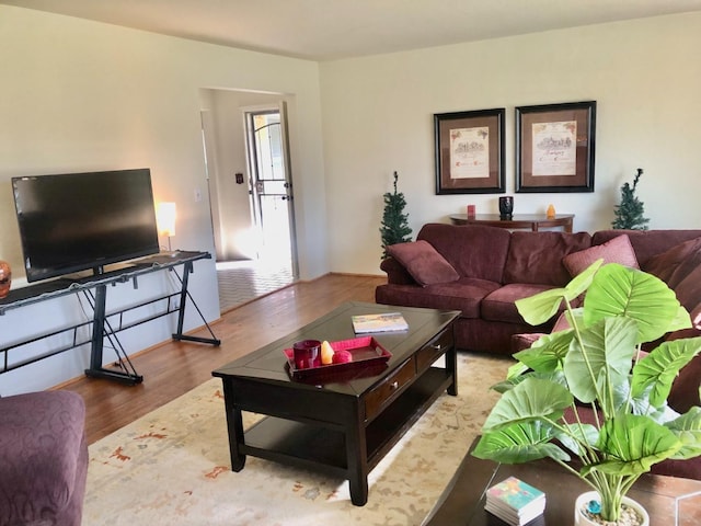 living room with wood finished floors