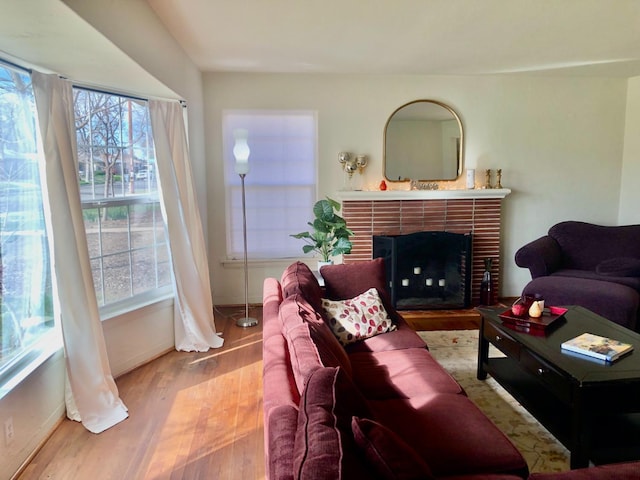 living area featuring baseboards, wood finished floors, and a fireplace