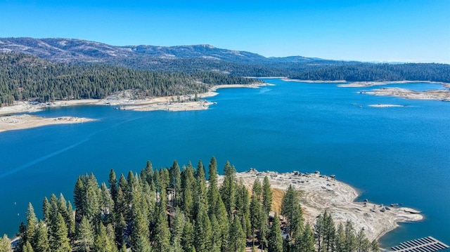 aerial view with a wooded view and a water and mountain view