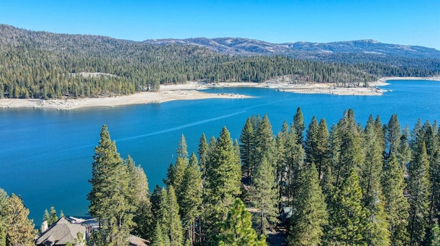 birds eye view of property with a wooded view and a water and mountain view