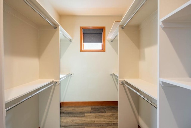 walk in closet featuring dark wood-type flooring