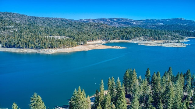 aerial view featuring a wooded view and a water and mountain view