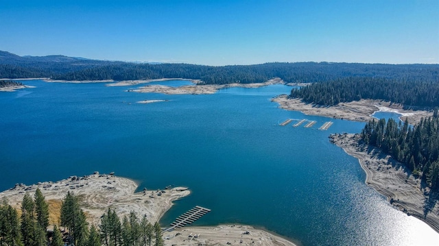 birds eye view of property with a water view and a forest view