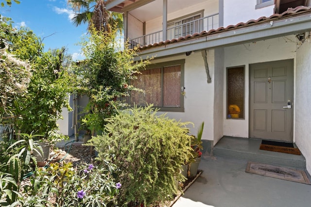 entrance to property with stucco siding