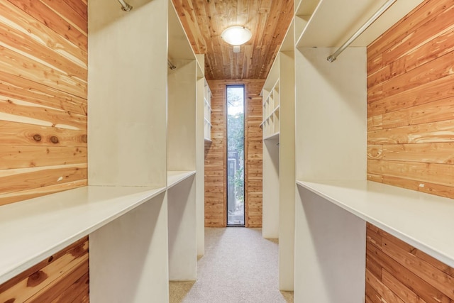 walk in closet featuring carpet flooring