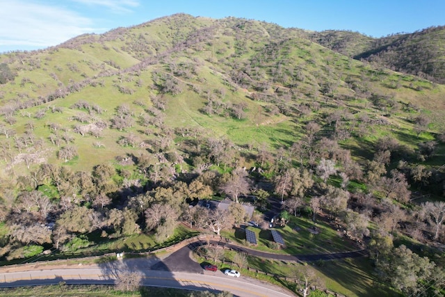 bird's eye view with a mountain view