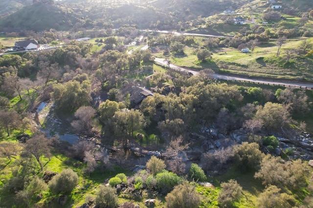 aerial view featuring a forest view