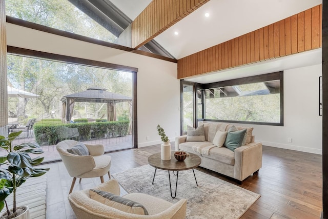 living room featuring dark wood-style floors, high vaulted ceiling, a wealth of natural light, and baseboards