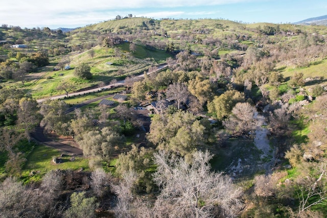 bird's eye view featuring a mountain view and a view of trees