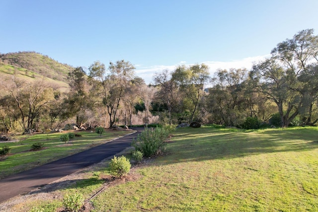 view of community with a lawn