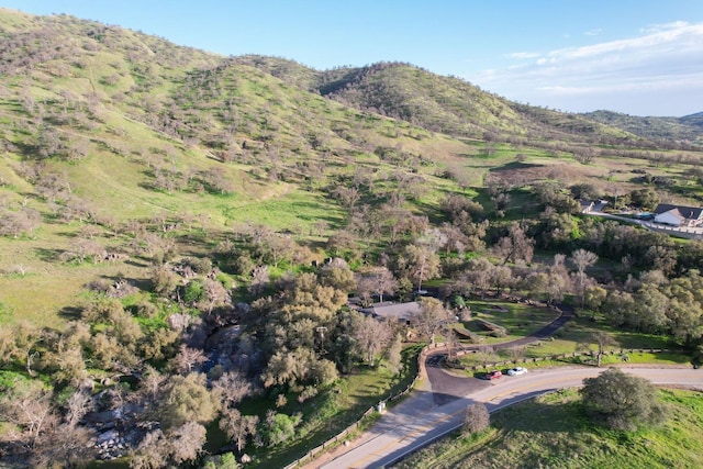 drone / aerial view with a mountain view