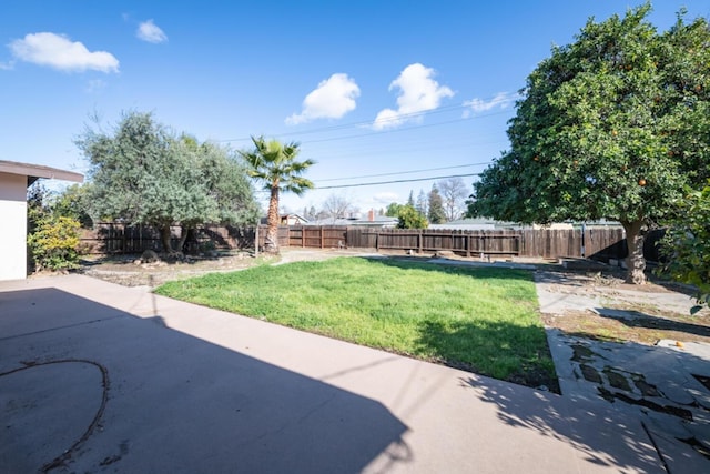 view of yard with a patio and a fenced backyard